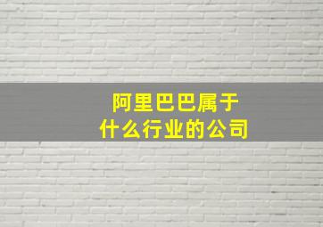 阿里巴巴属于什么行业的公司