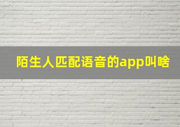 陌生人匹配语音的app叫啥