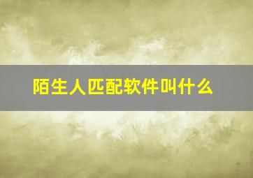 陌生人匹配软件叫什么