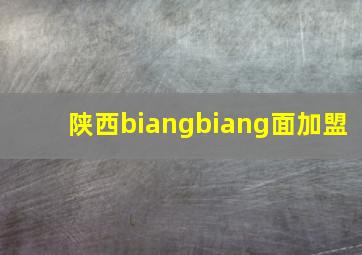 陕西biangbiang面加盟