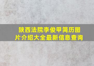 陕西法院李俊甲简历图片介绍大全最新信息查询