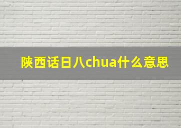 陕西话日八chua什么意思