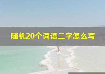 随机20个词语二字怎么写