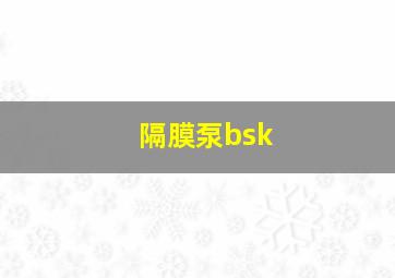 隔膜泵bsk