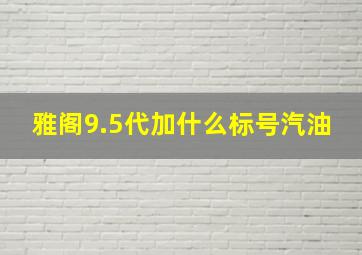 雅阁9.5代加什么标号汽油