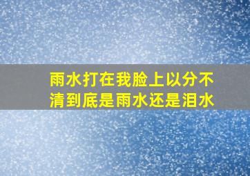 雨水打在我脸上以分不清到底是雨水还是泪水