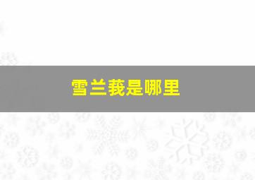 雪兰莪是哪里