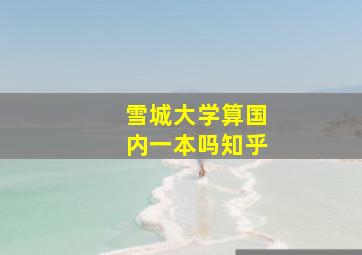 雪城大学算国内一本吗知乎