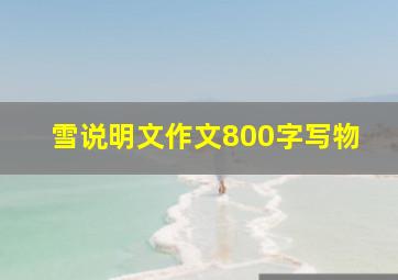 雪说明文作文800字写物