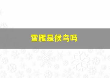 雪雁是候鸟吗