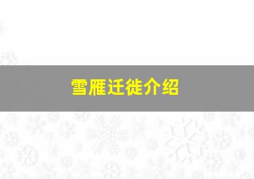 雪雁迁徙介绍