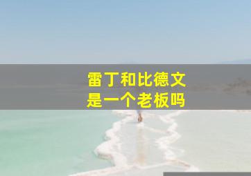 雷丁和比德文是一个老板吗