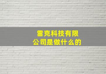 雷克科技有限公司是做什么的