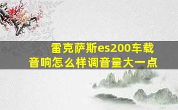 雷克萨斯es200车载音响怎么样调音量大一点