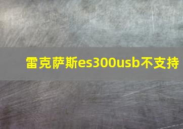 雷克萨斯es300usb不支持