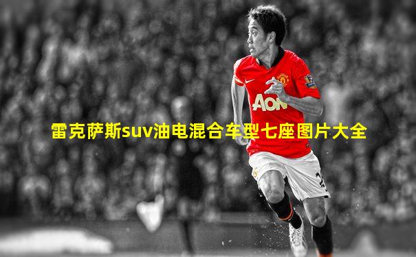 雷克萨斯suv油电混合车型七座图片大全