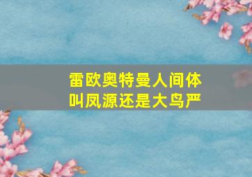 雷欧奥特曼人间体叫凤源还是大鸟严