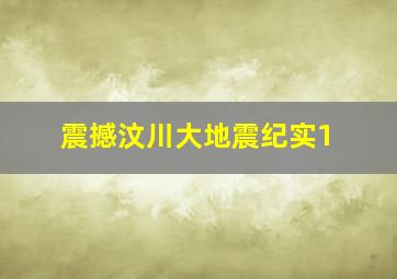 震撼汶川大地震纪实1