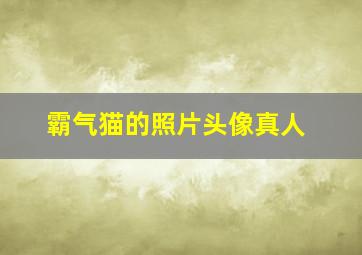 霸气猫的照片头像真人