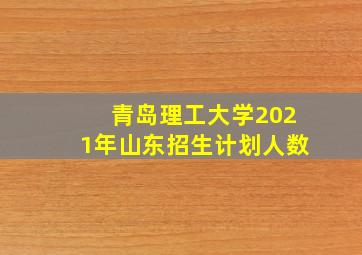 青岛理工大学2021年山东招生计划人数