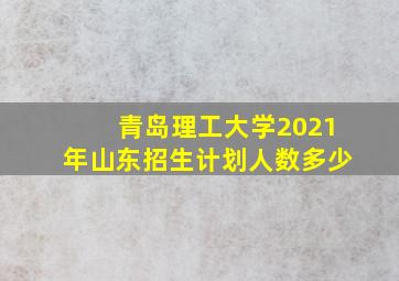 青岛理工大学2021年山东招生计划人数多少