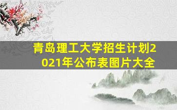 青岛理工大学招生计划2021年公布表图片大全