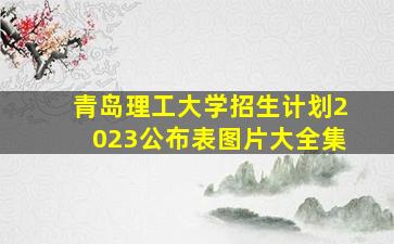 青岛理工大学招生计划2023公布表图片大全集