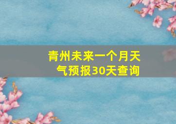 青州未来一个月天气预报30天查询