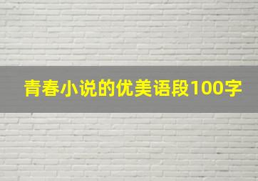 青春小说的优美语段100字