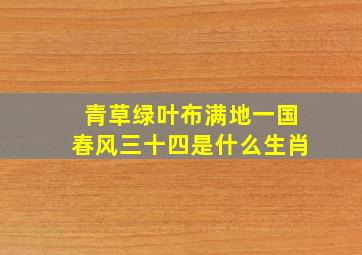 青草绿叶布满地一国春风三十四是什么生肖