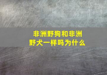 非洲野狗和非洲野犬一样吗为什么