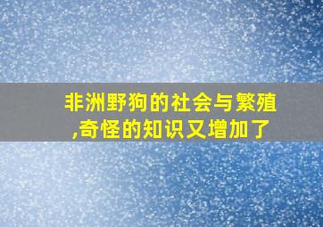 非洲野狗的社会与繁殖,奇怪的知识又增加了