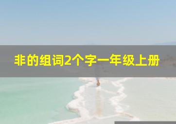 非的组词2个字一年级上册