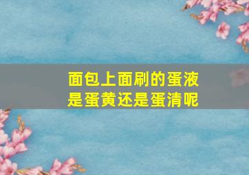 面包上面刷的蛋液是蛋黄还是蛋清呢