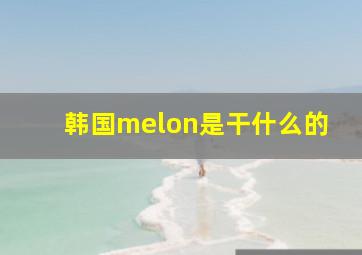 韩国melon是干什么的