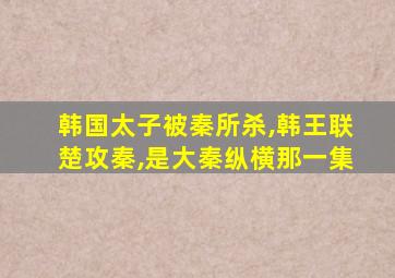 韩国太子被秦所杀,韩王联楚攻秦,是大秦纵横那一集