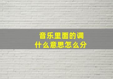 音乐里面的调什么意思怎么分