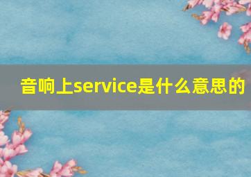 音响上service是什么意思的