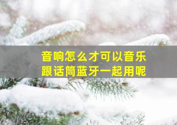 音响怎么才可以音乐跟话筒蓝牙一起用呢