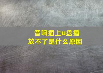 音响插上u盘播放不了是什么原因