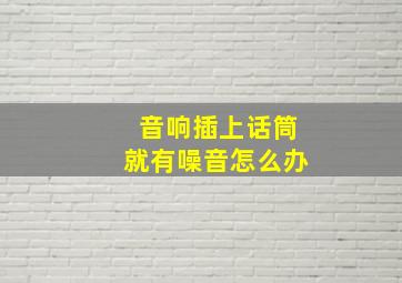 音响插上话筒就有噪音怎么办