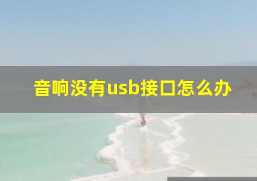 音响没有usb接口怎么办