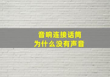 音响连接话筒为什么没有声音