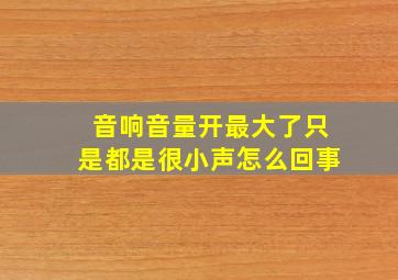 音响音量开最大了只是都是很小声怎么回事