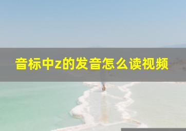 音标中z的发音怎么读视频