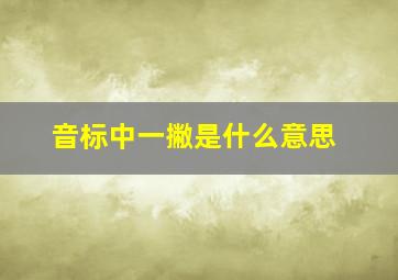 音标中一撇是什么意思