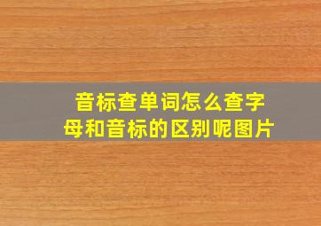 音标查单词怎么查字母和音标的区别呢图片