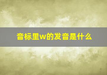 音标里w的发音是什么