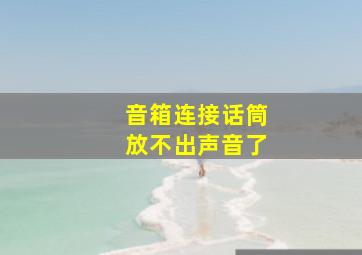 音箱连接话筒放不出声音了