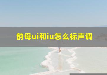 韵母ui和iu怎么标声调